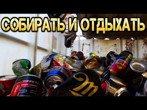 Видео: Сколько можно заработать на сборе алюминиевых банок ?