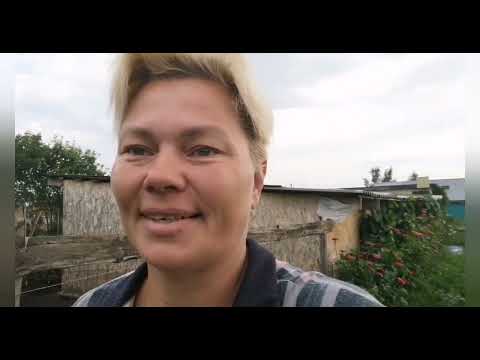 Видео: 21 июля 2024 г.