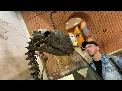 Видео: Попал в мир динозавров и мамонтов  😬 шикарный Палеонтологический музей / лето 2023