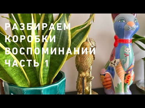 Видео: Готовы⁉️🤗  ОТКРЫВАЕМ первую  КОРОБКУ Хомячихи Люси 📦 🦫😅 это же надо было столько всего насобирать🫣😅