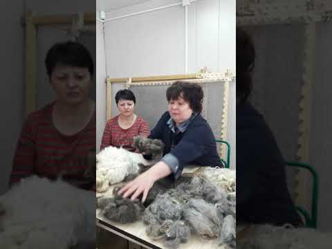 Видео: Онлайн-трансляция первого урока "Школы пуховниц". Тема занятия "Первичная обработка пуха"