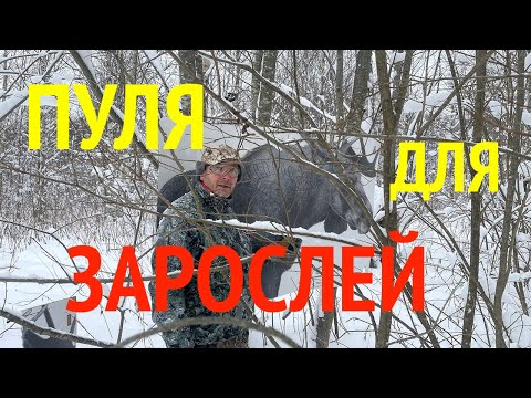 Видео: Какой пулей стрелять  из нарезного оружия в зарослях?