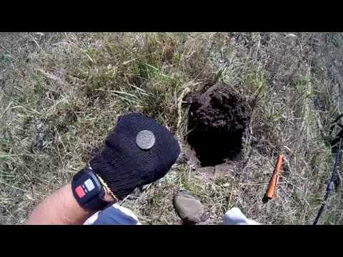 Видео: Настроил металлоискатель xp Deus ПРАВИЛЬНО ! Жди КУЧУ Монет