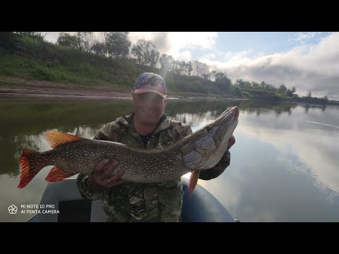 Видео: ДЕРЖИ СПИННИНГ КРЕПЧЕ🎣ЩУКА 10+ "КЛЕВ ЧЕРЕЗ КАЖДЫЙ ЗАБРОС"HOVER У КУВЕТА,ТЕВРИЗ-БОЛЬШИЕ УКИ