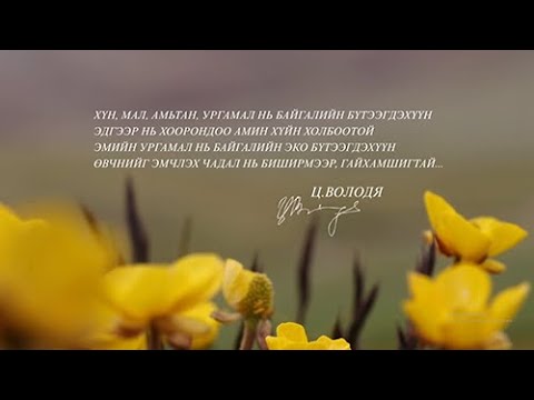 Видео: Цагааны Володя - Шинжлэх ухааны гавьяат зүтгэлтэн