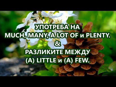 Видео: Уча английски: Much, Many, A lot of, Plenty + FREE PDF