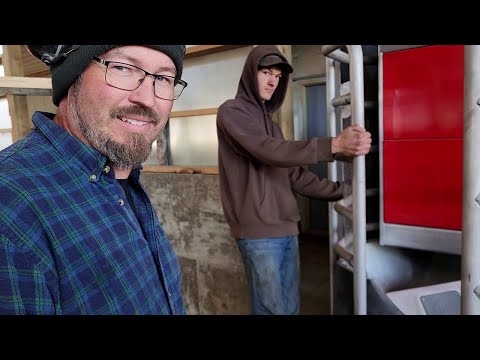 Видео: От технологий к трактору: установка роботов и заготовка сена