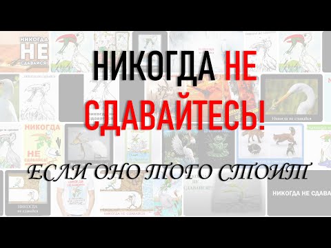 Видео: НИКОГДА НЕ СДАВАЙТЕСЬ! ЕСЛИ ОНО ТОГО СТОИТ