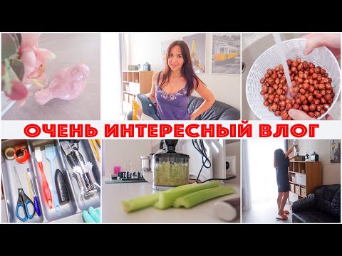 Видео: С ЧЁЛКОЙ ВСЕХ! ПОКУПКИ в ДОМ. Закупка ЕДЫ на РЫНКЕ. БЛЕНДЕР в ДЕЛЕ - ГОТОВИМ ВМЕСТЕ! ДУШЕВНАЯ БЕСЕДА