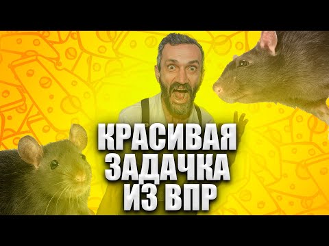 Видео: ВНЕЗАПНО КРАСИВАЯ ЗАДАЧКА ИЗ ВПР! БЫВАЕТ И ТАКОЕ!