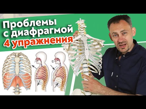 Видео: Как работает диафрагма? / Полезные упражнения для диафрагмы на каждый день