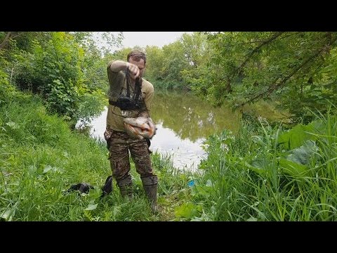 Видео: ЭТУ РЫБАЛКУ ЗАПОМНЮ НА ДОЛГО. Трофейная рыбалка на поплавок. Удочка трещит от этих рыб.