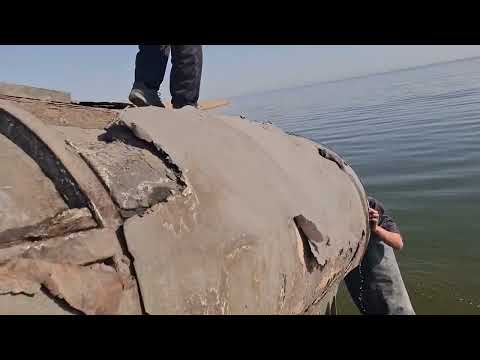 Видео: Зарыбление на Шардаре 17.10.2025 .