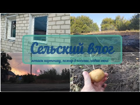 Видео: КОПАЕМ КАРТОШКУ 2025 🥔. СНОВА ПОЖАР В ПОСЕЛКЕ🔥 ПОСТАВИЛИ НОВЫЕ ОКНА