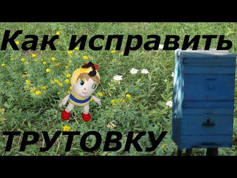 Видео: Очень просто оказалось исправить трутовку?