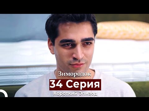 Видео: Зимородок 34 Cерия (Короткий Эпизод) (Русский дубляж)