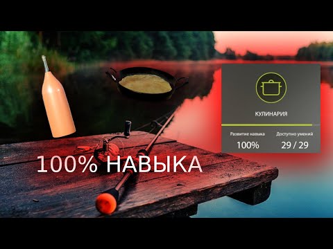 Видео: Как Прокачать НАВЫК кулинария До 100% в Русской Рыбалке 4 | PP4