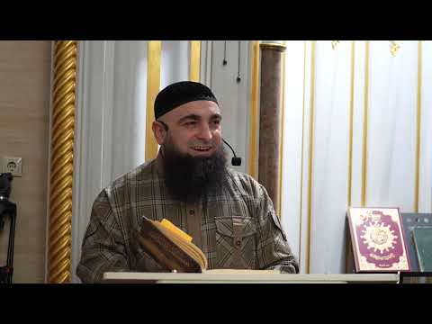 Видео: Джурайджах лаьцна дийцар. 24.10.25шо