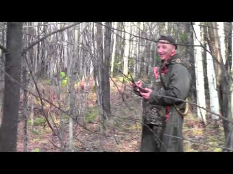 Видео: Екатеринбургские испытания в г. Полевском   осень 2022 г.