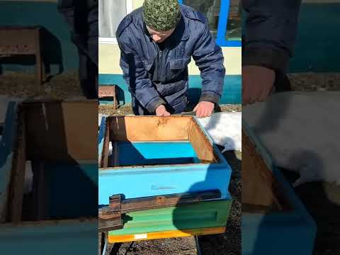 Видео: Апилифт Батыр,личный опыт