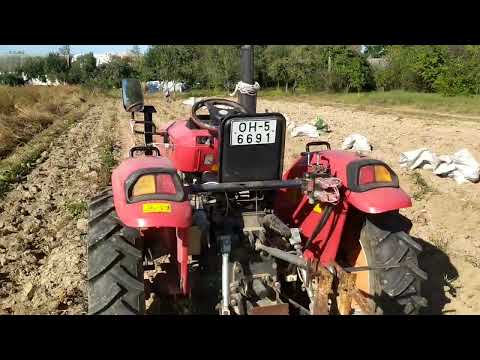 Видео: Sifeng 244C на уборке  бульбы 🥔2024.