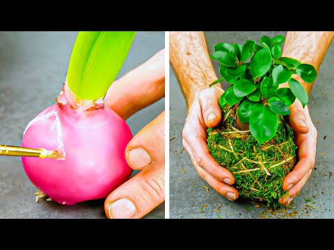 Видео: Красивые Идеи для Весеннего Декора с Растениями и Цветами 🌴🪴🌱🌿🌺🌻🥀