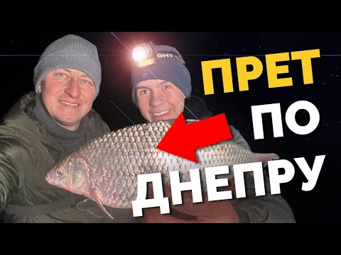 Видео: 🛑 Она ИДЕТ❗️ Клюют БАТОНЫ 🥖 Киевская рыбалка 💥 Фидерная ловля 2024❗️Глина или ЗЕМЛЯ❓