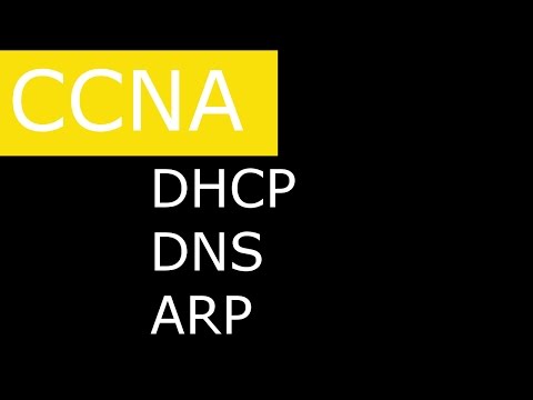 Видео: Вспомогательные протоколы DHCP, DNS, ARP