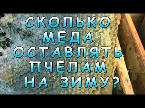 Видео: СКОЛЬКО МЕДА ОСТАВЛЯТЬ ПЧЕЛАМ  НА ЗИМУ.
