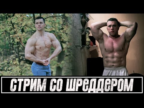 Видео: Стрим с Алексеем Шреддером