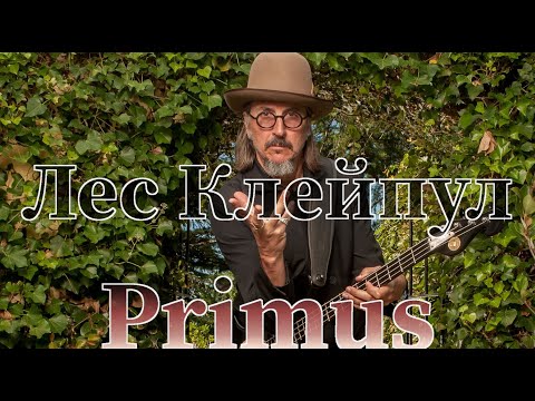 Видео: Лес Клейпул басист группы Primus