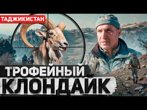 Видео: Трофейная охота в Таджикистане 2: Бухарский Уриал [4K]  + охота на кабана #трофейнаяохота