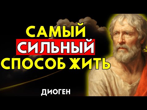 Видео: Почему Простая Жизнь — Самое Сильное, Что Ты Можешь Сделать – Диоген