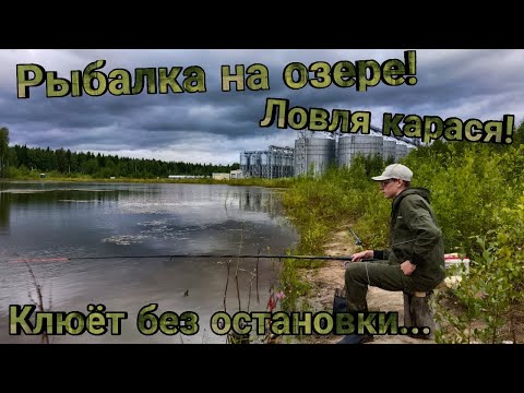 Видео: Рыбалка на озере,ловля карася!Клюёт без остановки...