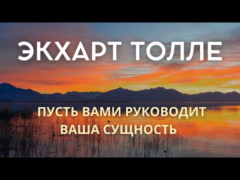 Видео: Пусть вашими действиями руководит ваша сущность - ЭКХАРТ ТОЛЛЕ [Nikosho]