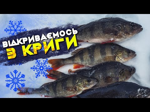 Видео: Ох і люблю я безмотилку: відкриваємо сезон ловлі з криги на КВХ