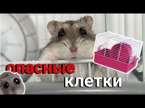 Видео: ОПАСНЫЕ КЛЕТКИ ДЛЯ ХОМЯКОВ ИЛИ КАКУЮ КЛЕТКУ ВЫБРАТЬ | Хомуся life