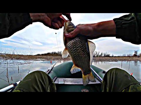 Видео: РЫБАЛКА НА КАРАСЯ С ЛОДКИ! ВОТ ЭТО КЛЕВ!