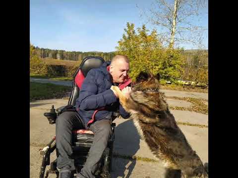 Видео: Друг без друга нам ни как !