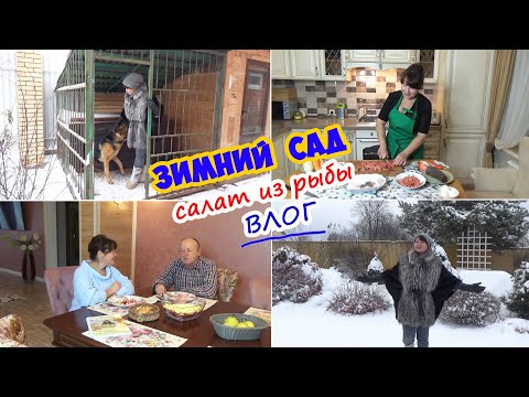 Видео: И не такие страшные укрытия! Где зимует Буян? Новый рецепт салата! Дегустация с папой.