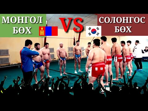 Видео: (🇰🇷Sub)МОНГОЛ БӨХ vs СОЛОНГОС БӨХ аль нь давсан бол? ZolbooTv MONGOLIAN YOUTUBER