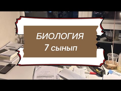 Видео: ЭКОЛОГИЯЛЫҚ СУКЦЕССИЯ 7 сынып биология | ұбт