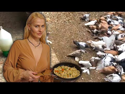Видео: Я Помог 2000 Голубям Снова Летать! Двухчубые голуби. Tauben. Pigeons. Palomas. Pombos. 비둘기.