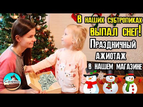 Видео: В наших субтропиках выпал снег! Праздничный ажиотаж в нашем магазине