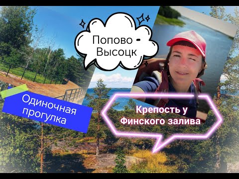 Видео: Одиночная летняя прогулка от ст. Попово до гор. Высоцка.  Ленинградская область. Выборгский район.