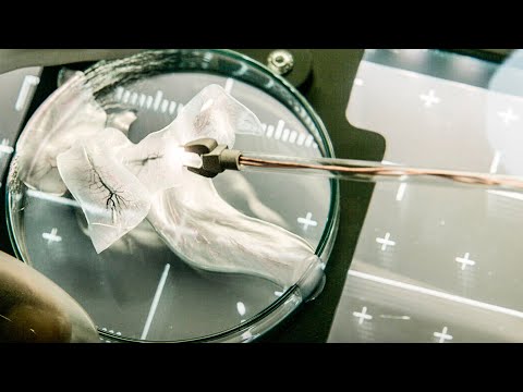 Видео: Учёные нашли доказательство внеземной жизни, но это существо оказалось злее, чем они думали