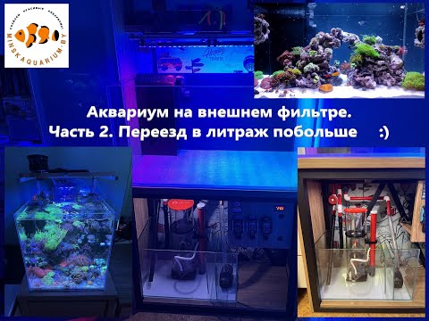 Видео: Морской аквариум на внешнем фильтре. Переезд в 250 литров.