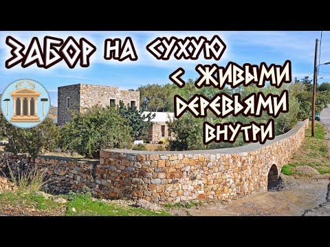 Видео: Забор на сухую с живыми деревьями внутри