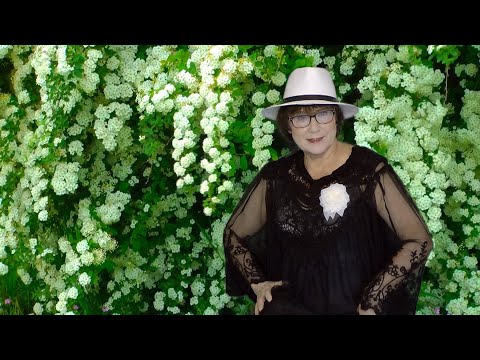 Видео: Tina Wedel: "Навстречу судьбе" - Петербургу в День Рождения!