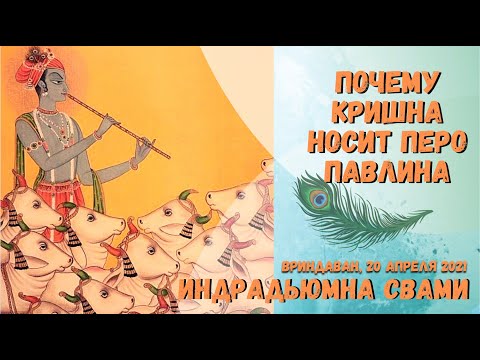 Видео: Почему Кришна носит перо павлина
